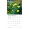 Plato; Monet's Garden | 2027 12 x 24 Inch (Hanging) Monthly Square Wall Calendar | Foil Stamped Cover; Category:Wall Calendars; Image:5